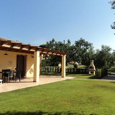 Agriturismo Dallolivo Bolgheri Ngoại thất bức ảnh