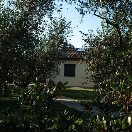 Agriturismo Dallolivo Bolgheri Ngoại thất bức ảnh