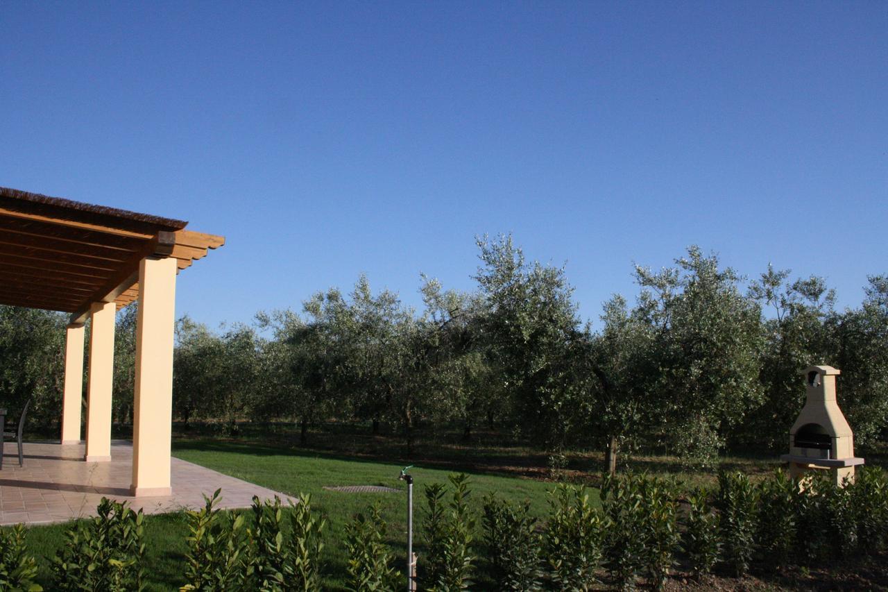 Agriturismo Dallolivo Bolgheri Ngoại thất bức ảnh