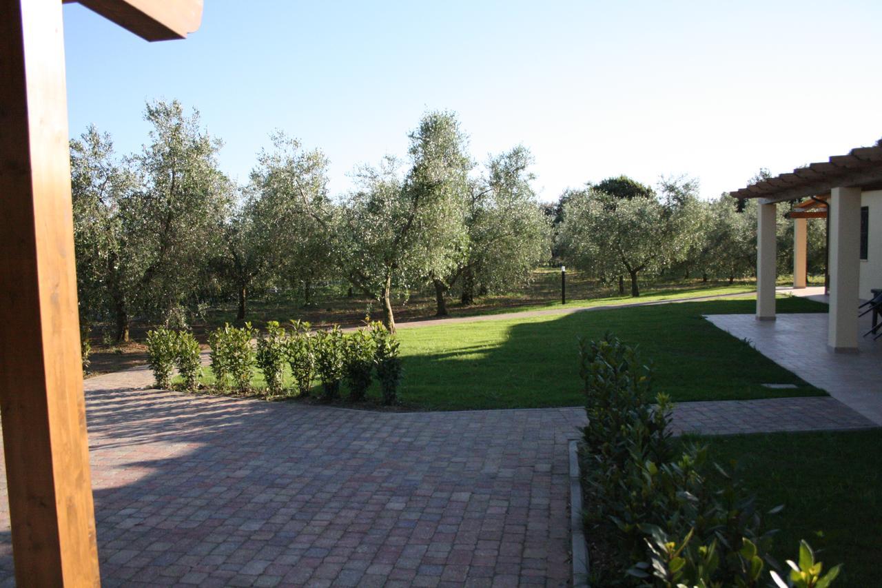 Agriturismo Dallolivo Bolgheri Ngoại thất bức ảnh