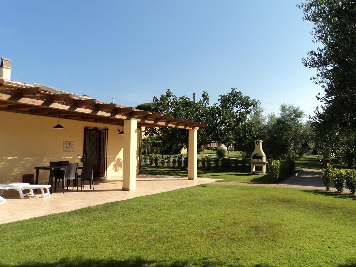 Agriturismo Dallolivo Bolgheri Ngoại thất bức ảnh