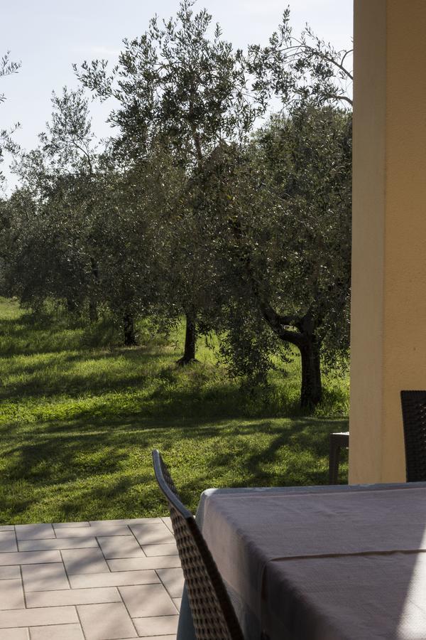 Agriturismo Dallolivo Bolgheri Ngoại thất bức ảnh