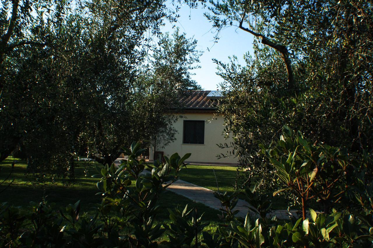 Agriturismo Dallolivo Bolgheri Ngoại thất bức ảnh