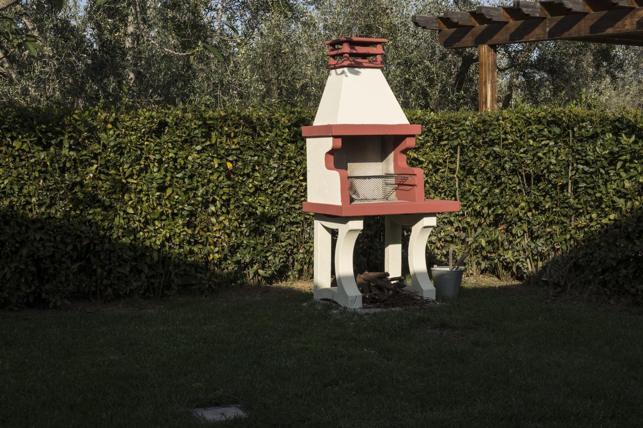 Agriturismo Dallolivo Bolgheri Ngoại thất bức ảnh